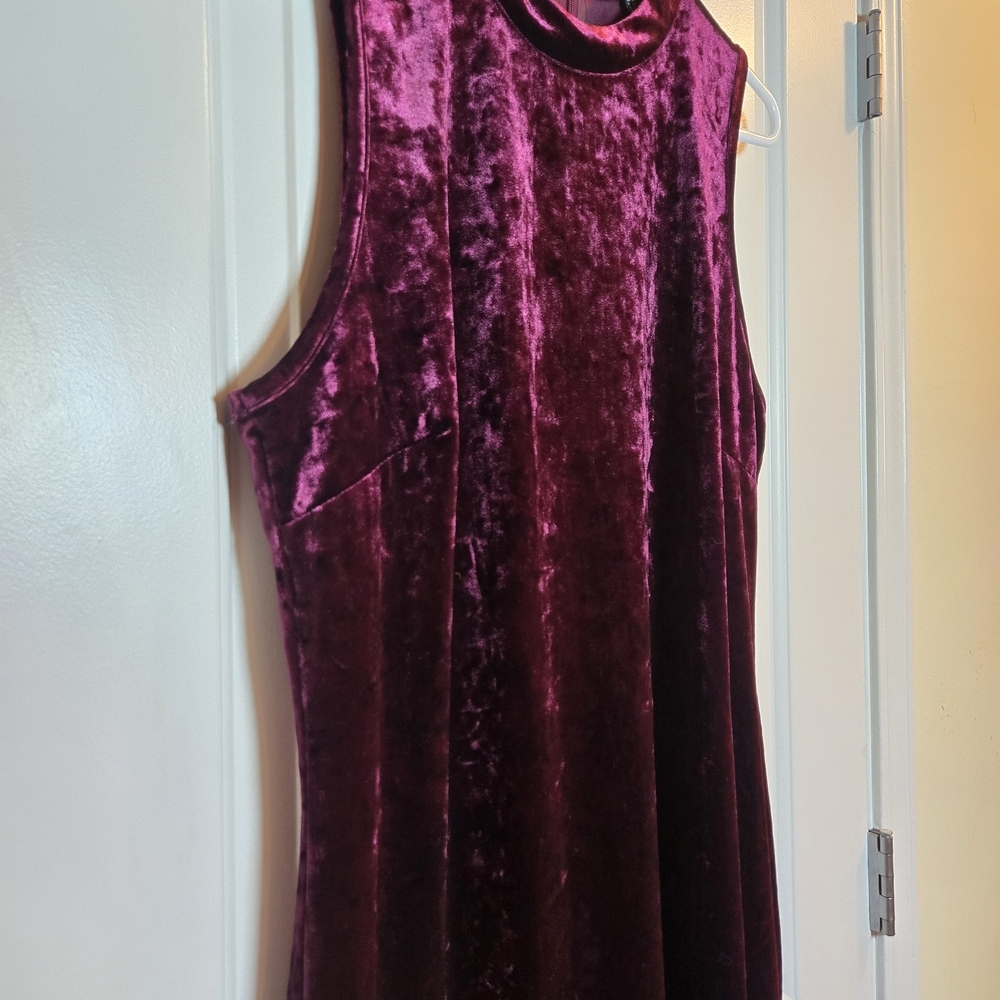 Forever 21 Velvet Dress in Deep Red